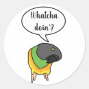 Buscar senegal pegatinas Para todos