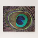 Buscar pluma del pavo real puzzles Para todos