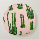 Buscar cactus cojines Arizona