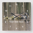 Buscar bebe del pajaro posters Para ella