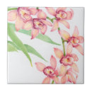 Buscar rosas azulejos Flores