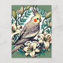 Buscar cockatiel postales Naturaleza