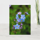 Buscar nomeolvides tarjetas Azul