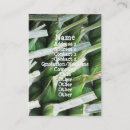 Buscar envuelto tarjetas de visita Para todos