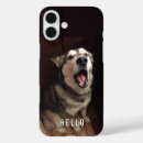 Buscar alaskan malamute iphone fundas Perro