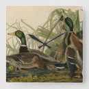 Buscar illustration relojes de pared Bird