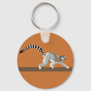 Buscar lemur llaveros Fauna