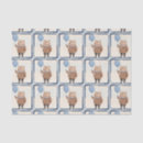 Buscar globos papel de seda Cualquier niño