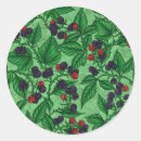 Buscar frutales pegatinas Dibujo frutal