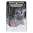 Buscar lobo gris libretas Nieve