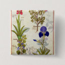 Buscar medicinal chapas Flor