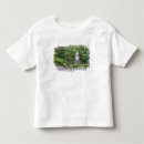 Buscar kyoto camisetas Verde