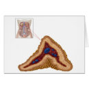 Buscar glándulas Glándulas endocrinas