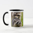 Buscar larry tazas Mamífero