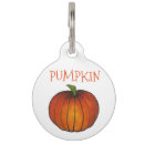 Buscar gracias mascotas Calabaza