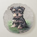 Buscar yorkies cojines Adorable