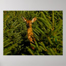 Buscar gama posters General y unisex