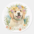 Buscar laurel wreath pegatinas Nombre