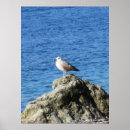 Buscar pajaros posters Mar