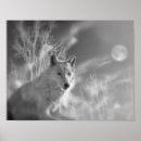Buscar del lobo posters Retrato de lobo