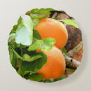 Buscar frutales cojines General y unisex