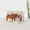 Buscar caballo salvaje tarjetas Equino