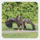 Buscar majestuoso pegatinas Pájaro
