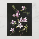 Buscar pintura japonesa postales Flor