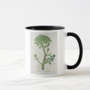 Buscar medical tazas Hoquart