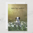 Buscar dálmatas invitaciones Perro