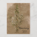 Buscar herbal postales General y unisex