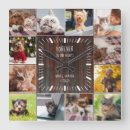 Buscar del gato relojes de pared Para mascotas