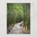 Buscar recuerdos de hawaii postales Bosque