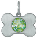 Buscar bosques collares Colorido