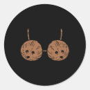 Buscar bra pegatinas Coco