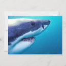 Buscar mandíbula tarjetas Fotografía