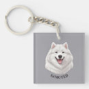 Buscar perro blanco llaveros Para mascotas