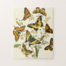 Buscar mariposa del vintage puzzles Mariposas
