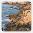 Buscar piedras pegatinas Día