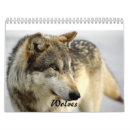 Buscar lobos calendarios Naturaleza