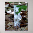 Buscar cadáver posters Bosque