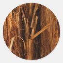 Buscar textura de madera pegatinas Naturaleza