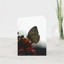 Buscar soledad tarjetas Fotografía