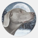 Buscar weimaraner pegatinas Perros