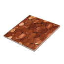Buscar monedas azulejos Dinero