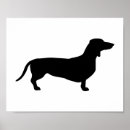 Buscar salvador posters Doxie