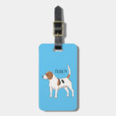 Buscar perro del beagle General y unisex