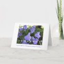 Buscar columna tarjetas Flores