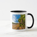 Buscar uvas tazas Merlot