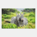 Buscar cebras manualidades Salvaje